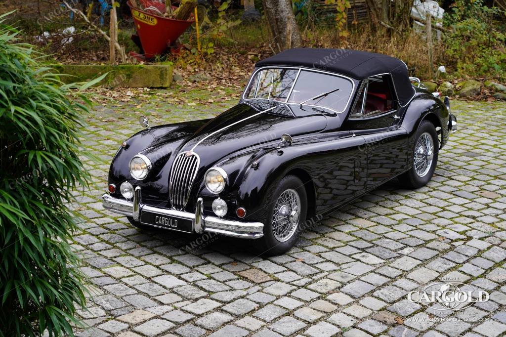 Cargold - Jaguar XK 140 DHC - Matching Numbers  - Bild 18