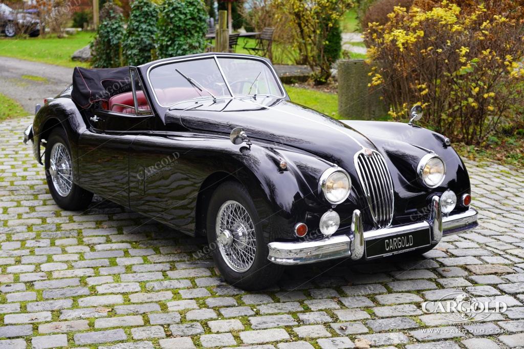 Cargold - Jaguar XK 140 DHC - Matching Numbers  - Bild 2