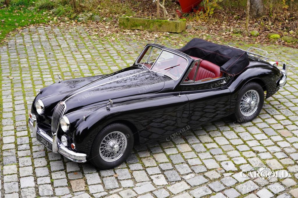 Cargold - Jaguar XK 140 DHC - Matching Numbers  - Bild 4