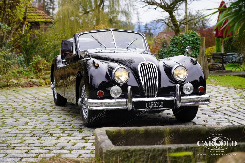 Cargold - Jaguar XK 140 DHC - Matching Numbers  - Bild 6