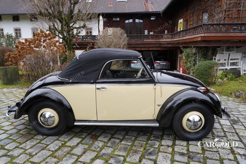 Cargold - VW Käfer Hebmüller  - Original Cabrio / Rarität  - Bild 2