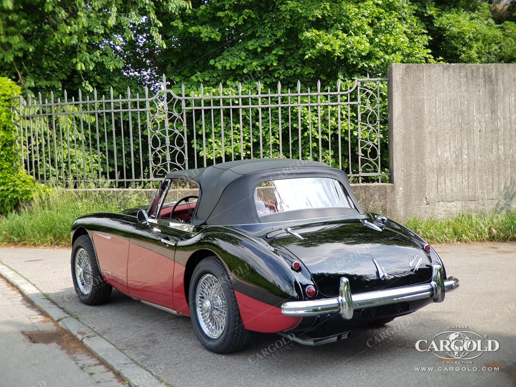 Cargold - Austin Healey 3000 MK II BJ7 -   - Bild 16