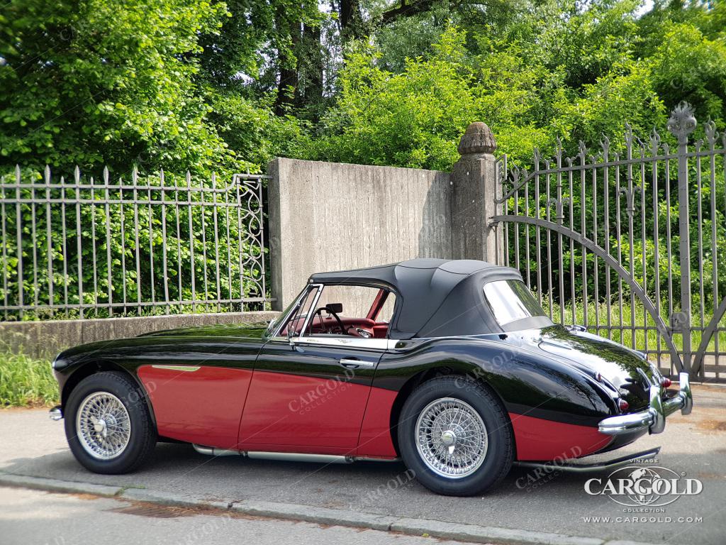 Cargold - Austin Healey 3000 MK II BJ7 -   - Bild 24