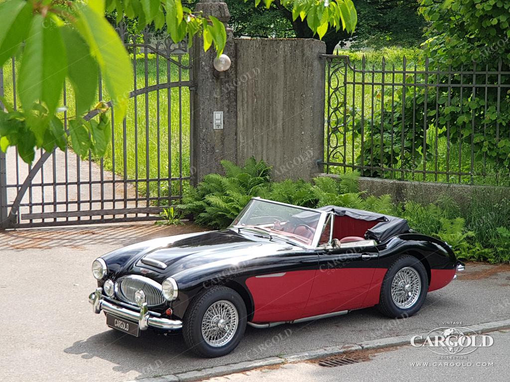 Cargold - Austin Healey 3000 MK II BJ7 -   - Bild 30