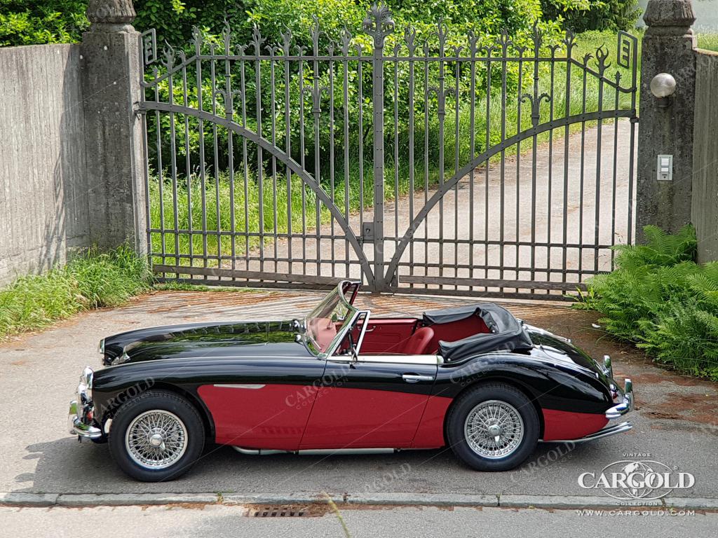 Cargold - Austin Healey 3000 MK II BJ7 -   - Bild 3