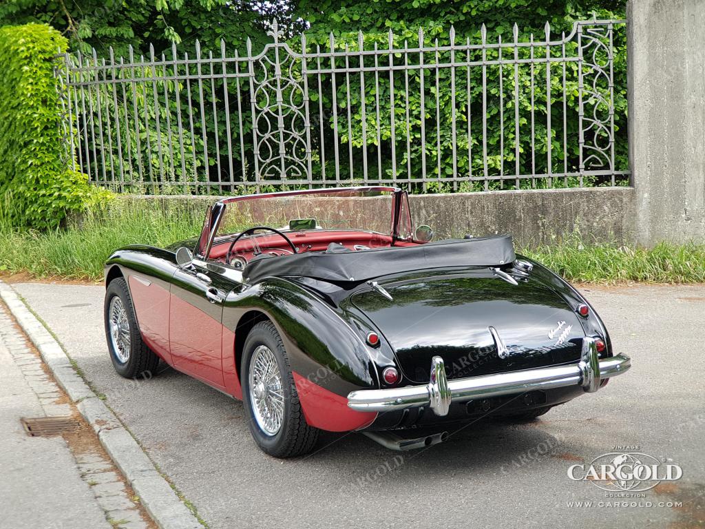 Cargold - Austin Healey 3000 MK II BJ7 -   - Bild 5