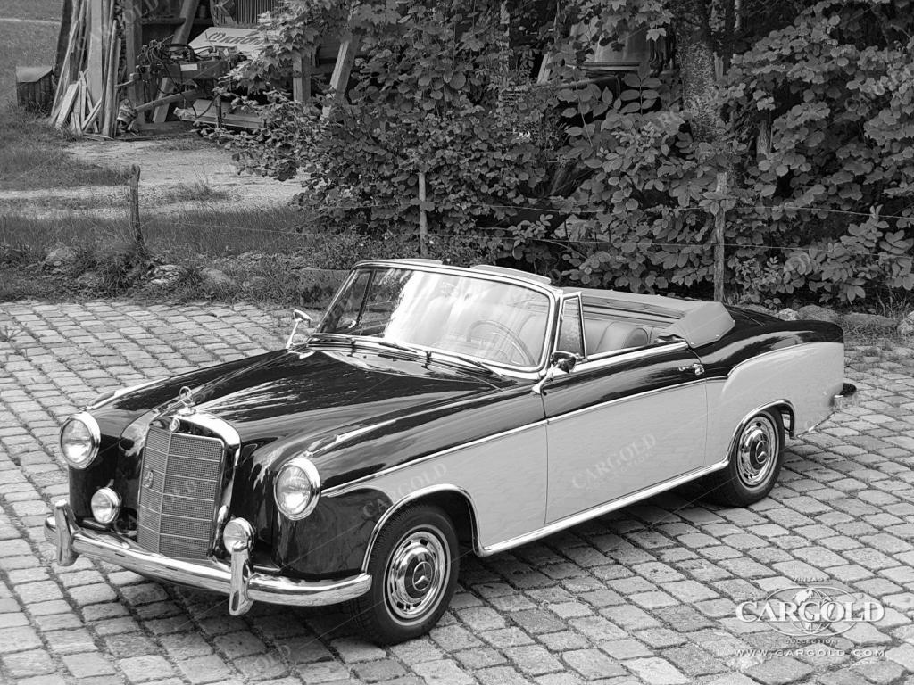 Cargold - Mercedes 220 S Cabriolet - Ponton  - Bild 0