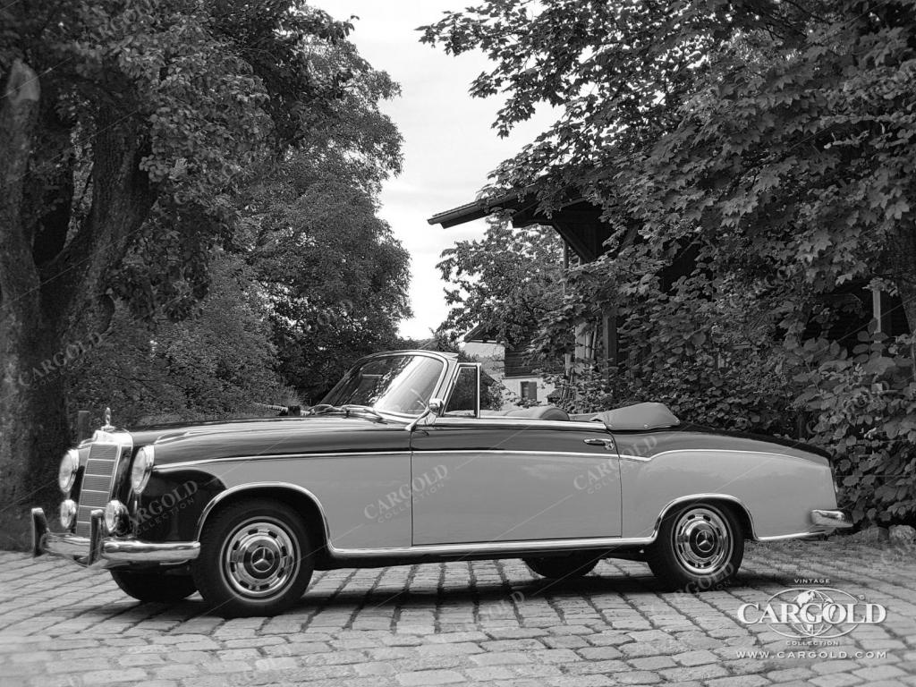 Cargold - Mercedes 220 S Cabriolet - Ponton  - Bild 10