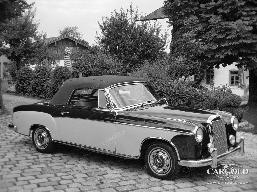 Cargold - Mercedes 220 S Cabriolet - Ponton  - Bild 12