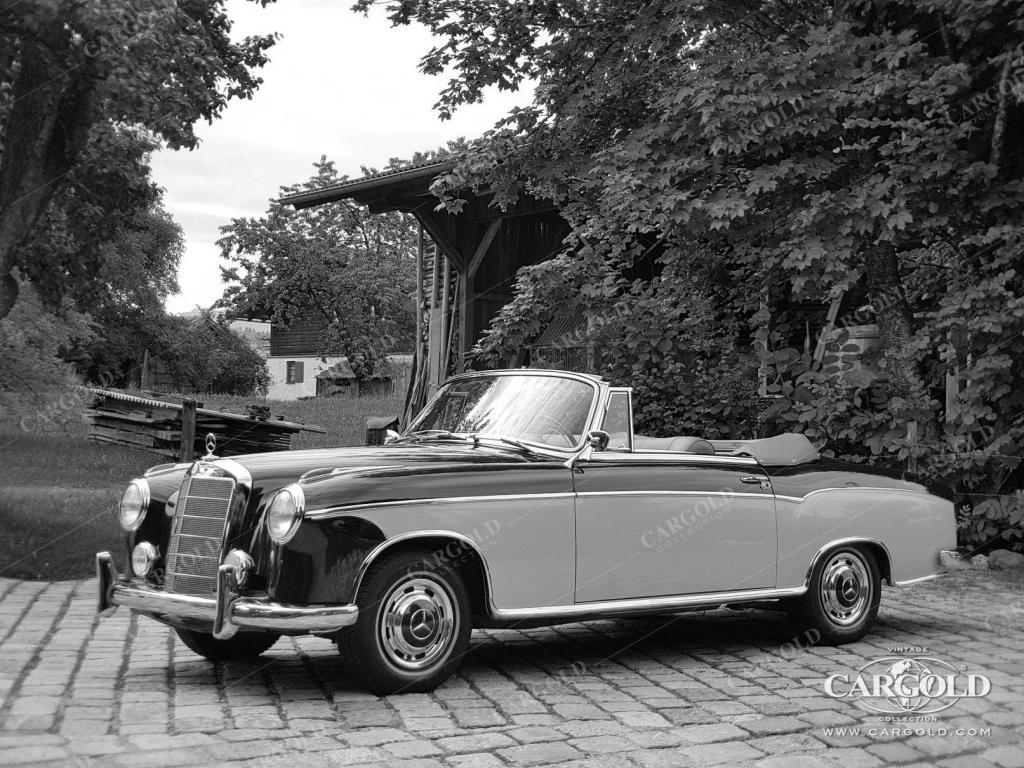 Cargold - Mercedes 220 S Cabriolet - Ponton  - Bild 14