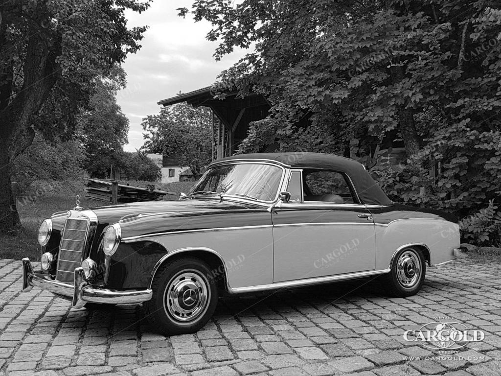 Cargold - Mercedes 220 S Cabriolet - Ponton  - Bild 17