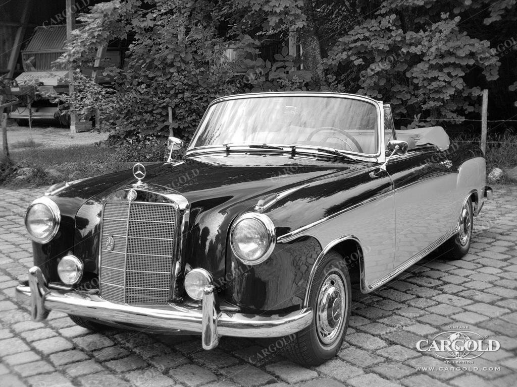 Cargold - Mercedes 220 S Cabriolet - Ponton  - Bild 19