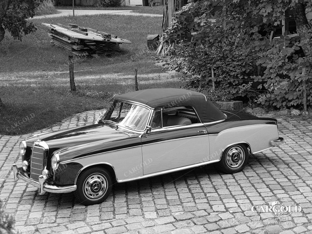 Cargold - Mercedes 220 S Cabriolet - Ponton  - Bild 21