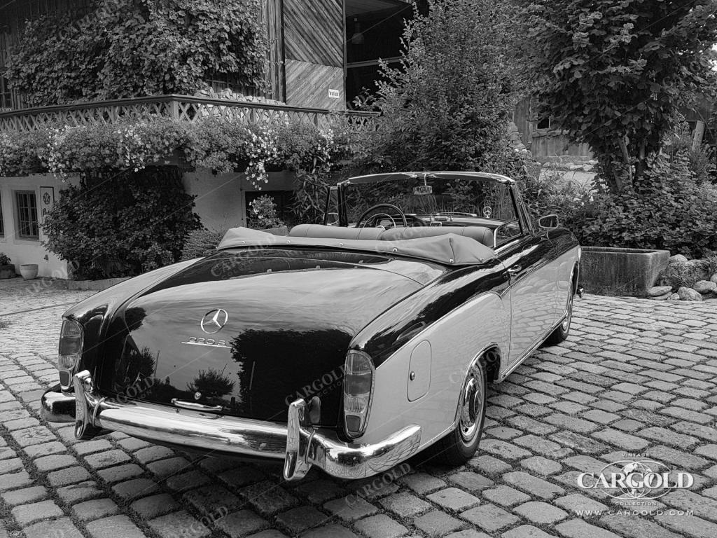 Cargold - Mercedes 220 S Cabriolet - Ponton  - Bild 3