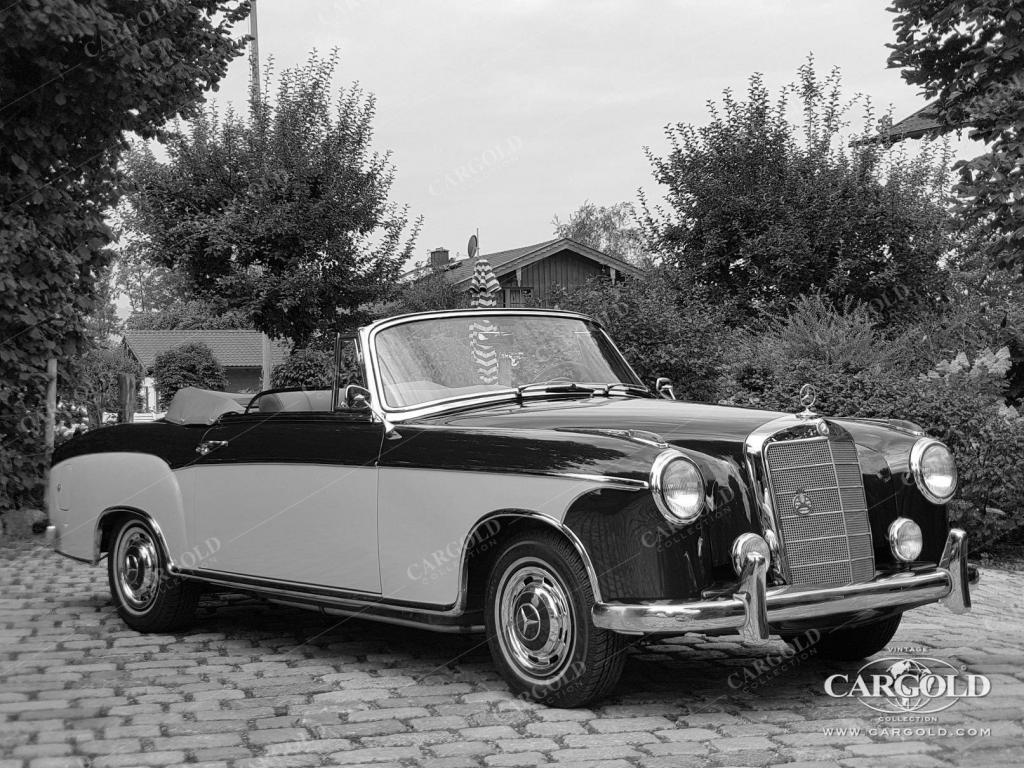 Cargold - Mercedes 220 S Cabriolet - Ponton  - Bild 5