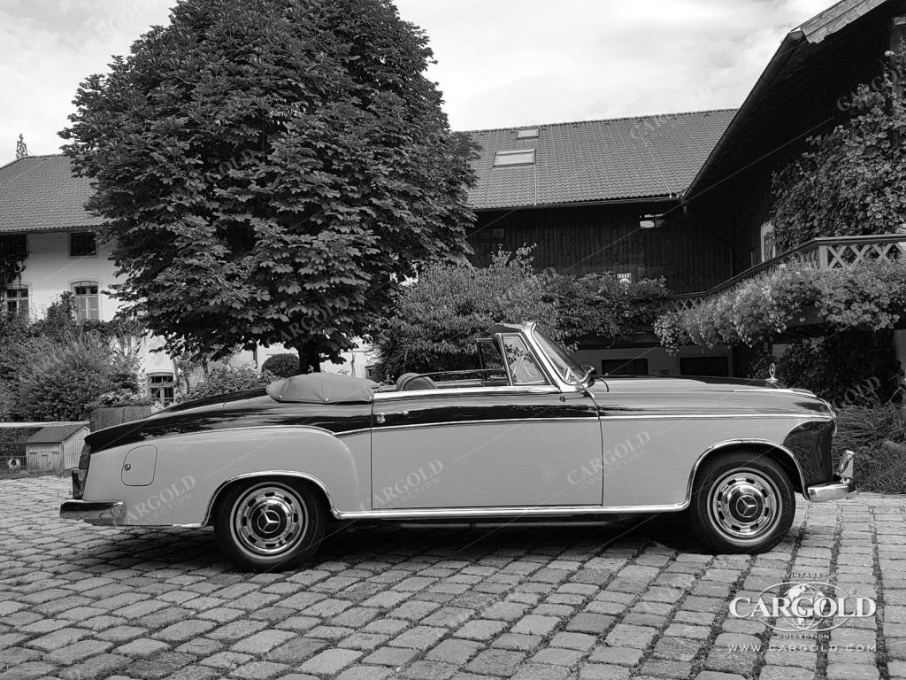 Cargold - Mercedes 220 S Cabriolet - Ponton  - Bild 7