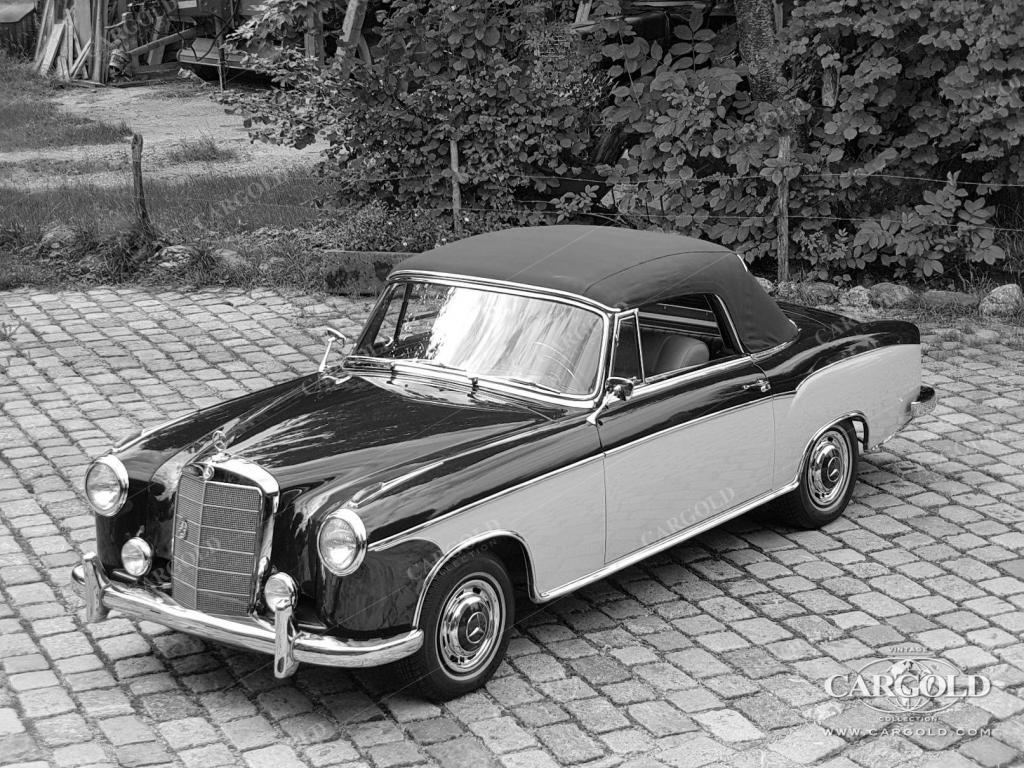 Cargold - Mercedes 220 S Cabriolet - Ponton  - Bild 8